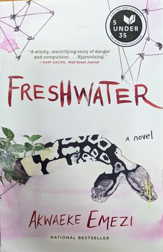 Akwaeke Emezi: Freshwater (2018, Grove/Atlantic, Incorporated)